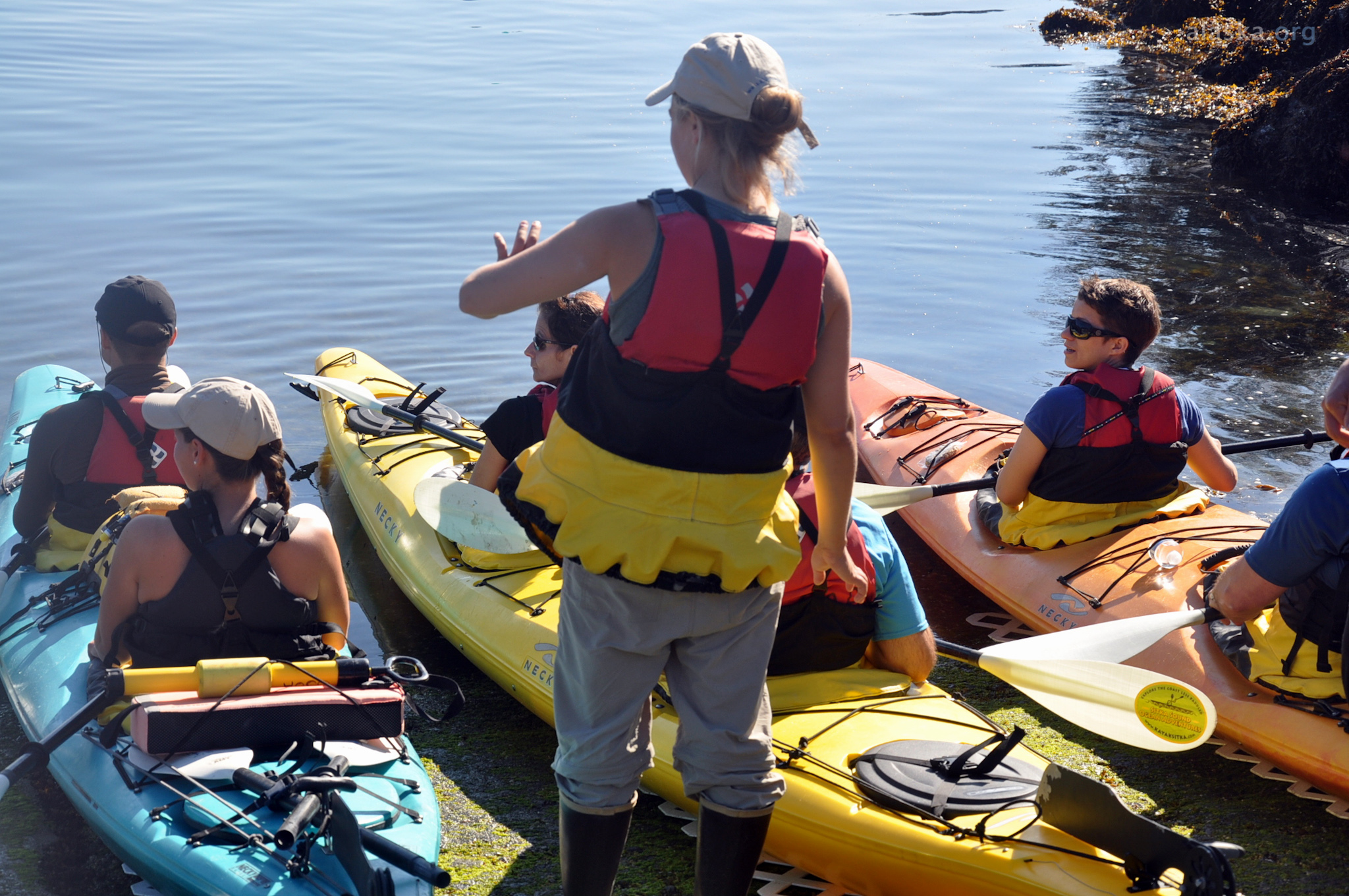 Sitka Sound Kayaking Private Guided Tours Sitka Alaska Day Tours