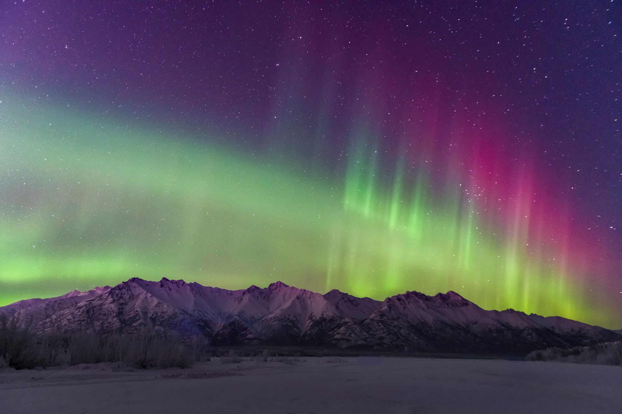 Northern Lights In Alaska 2024 Dehlia Phyllys