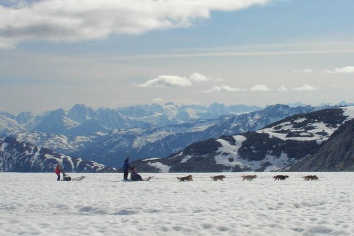 Skagway Flightseeing + Dogsledding Day Tour | Private Alaska Luxury Tours